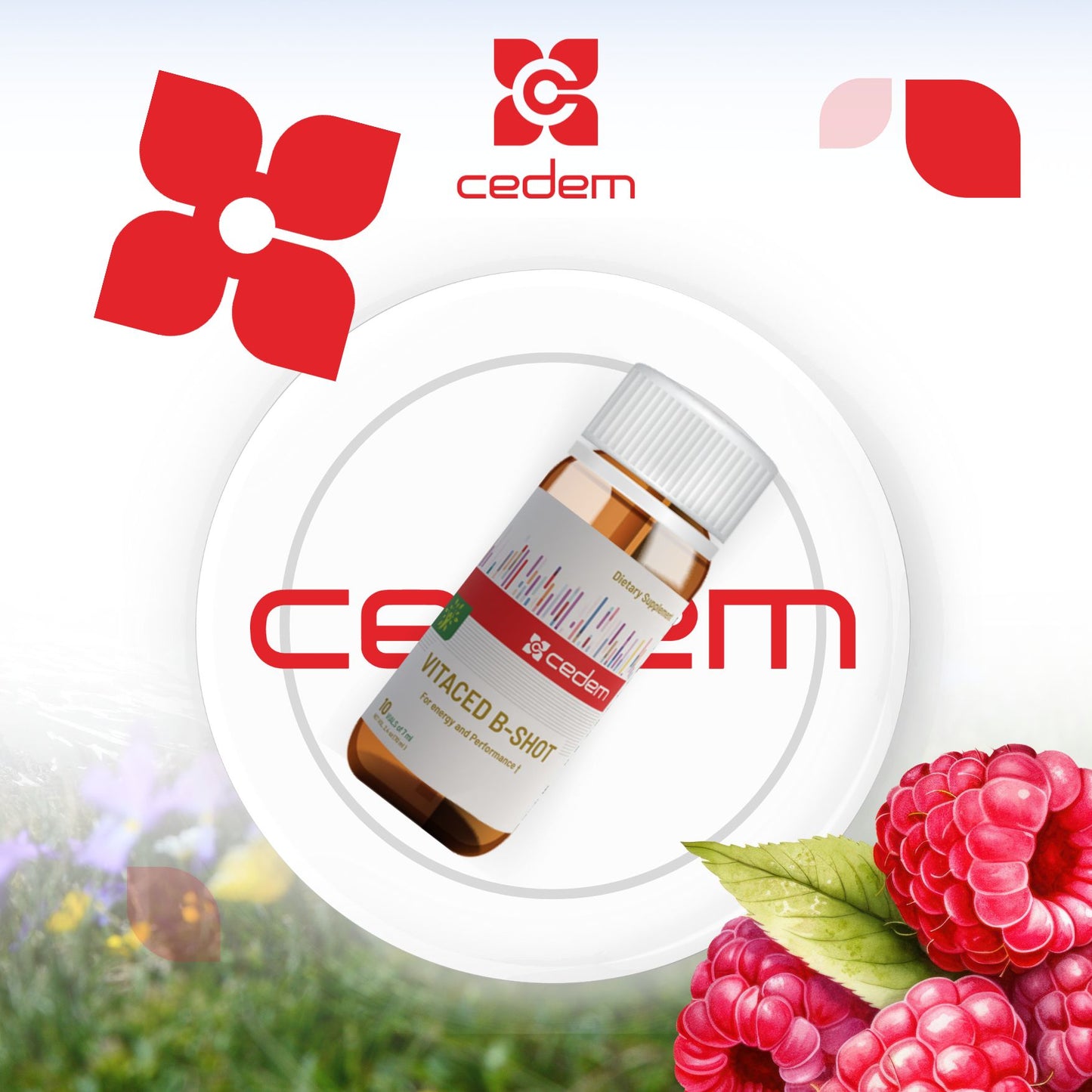 CEDEM VITACED B-SHOT - 1 Pack