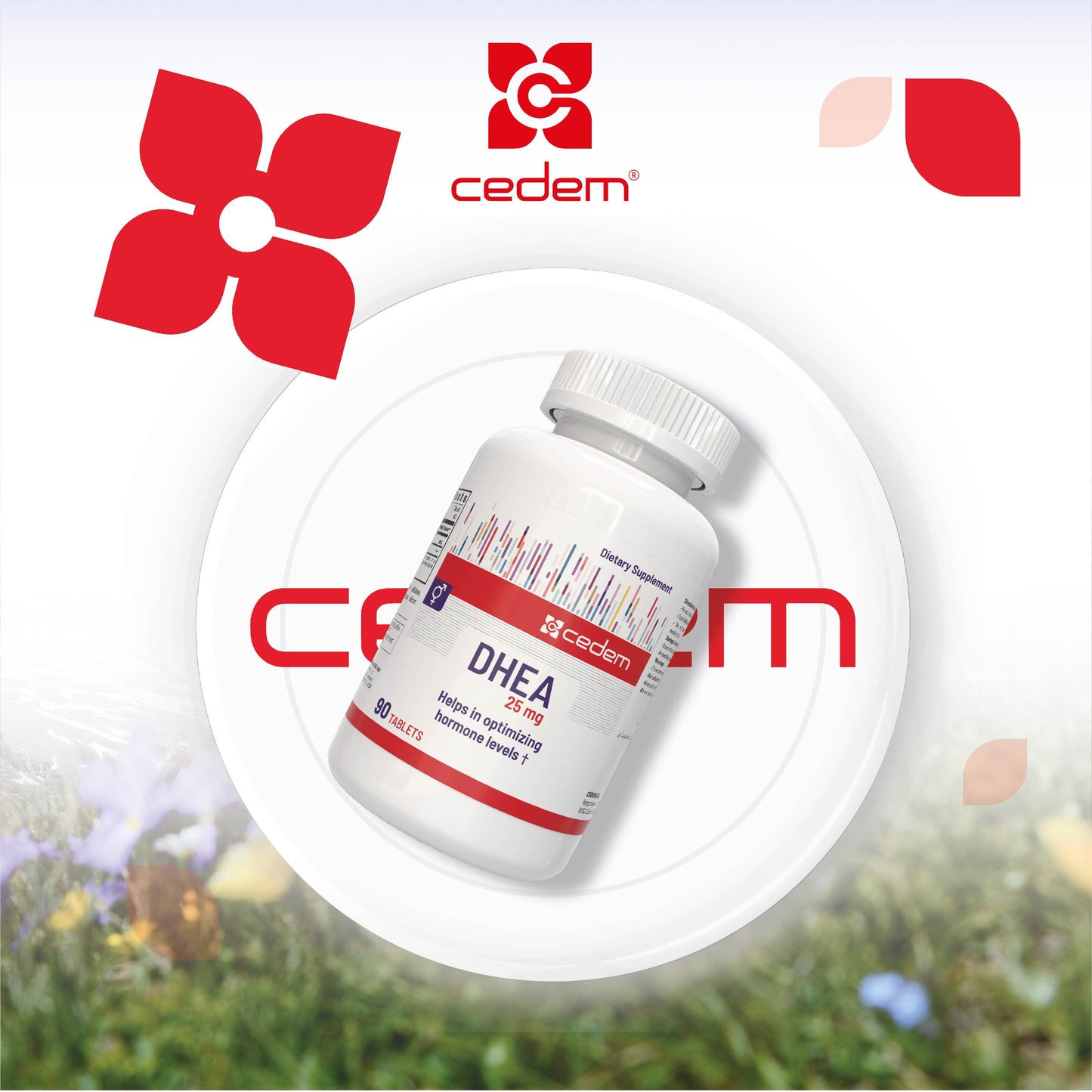 CEDEM DHEA 25mg